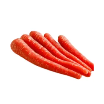 Organic Red Carrot
